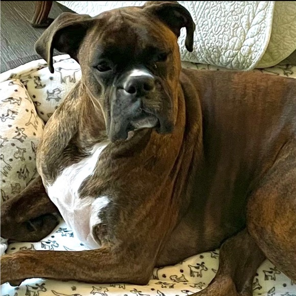 Meet your Posher, Debbie.Handmade jewelry - Picture 3 of 17